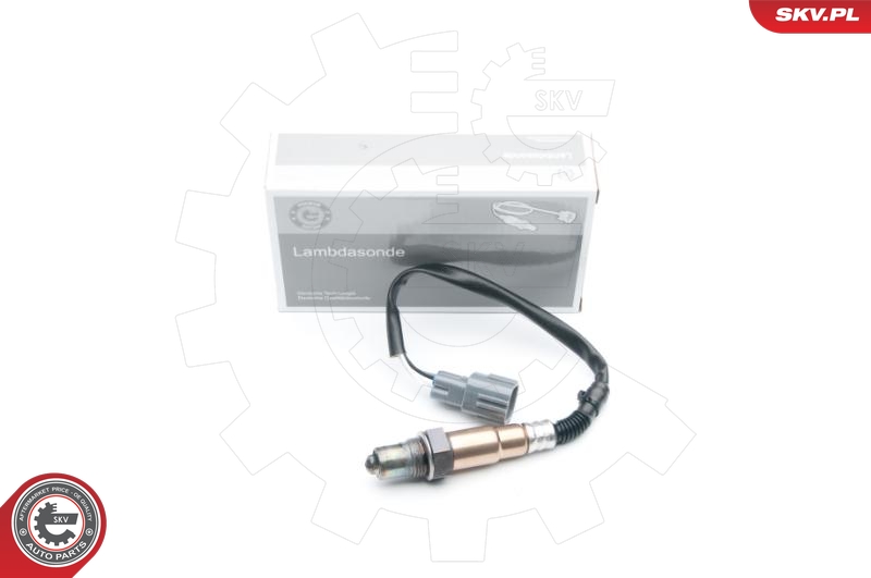 SKV 09SKV585