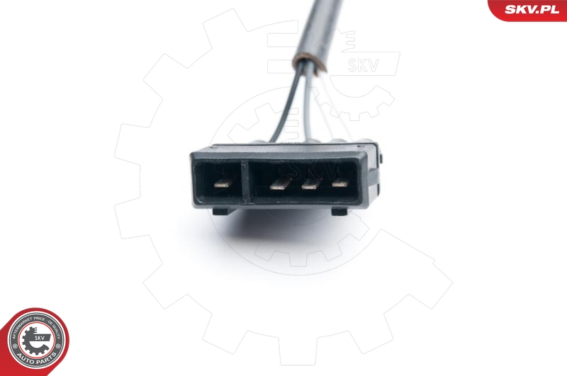 SKV 09SKV589