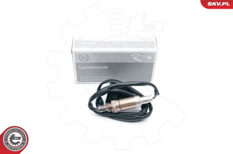 SKV 09SKV599