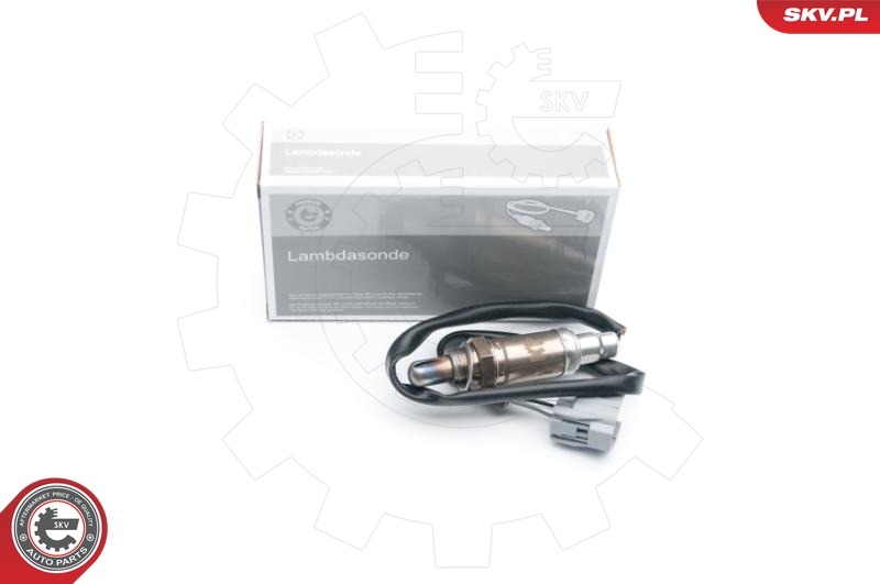 SKV 09SKV611