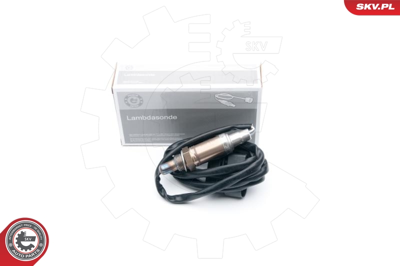 SKV 09SKV613