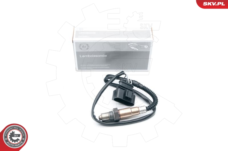 SKV 09SKV616