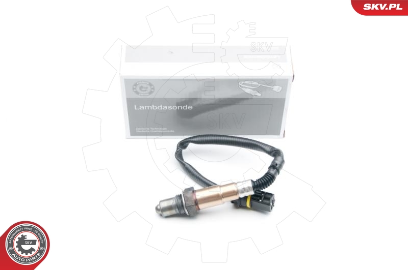 SKV 09SKV619