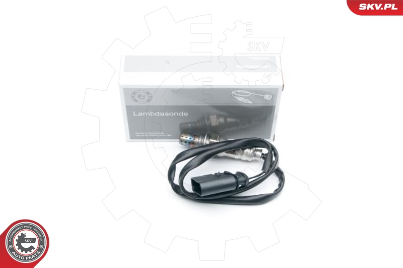 SKV 09SKV620