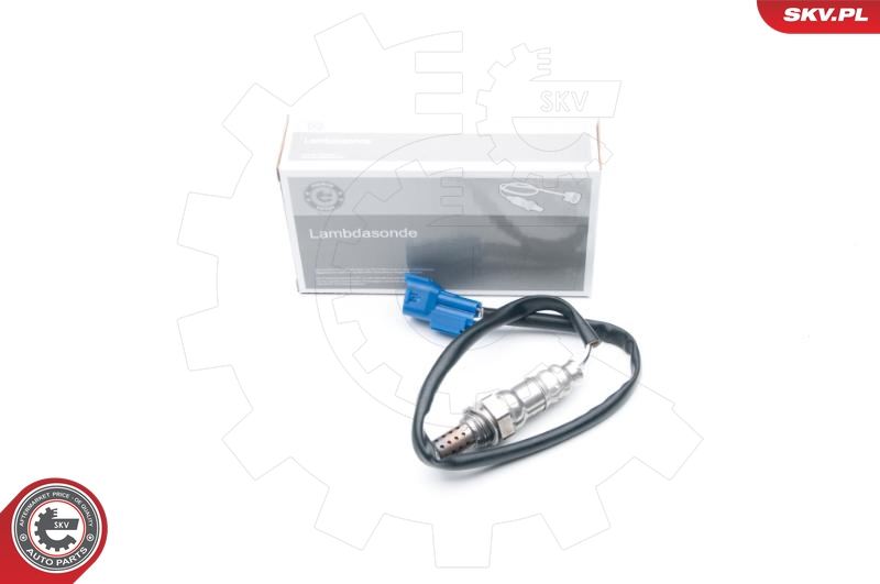 SKV 09SKV622
