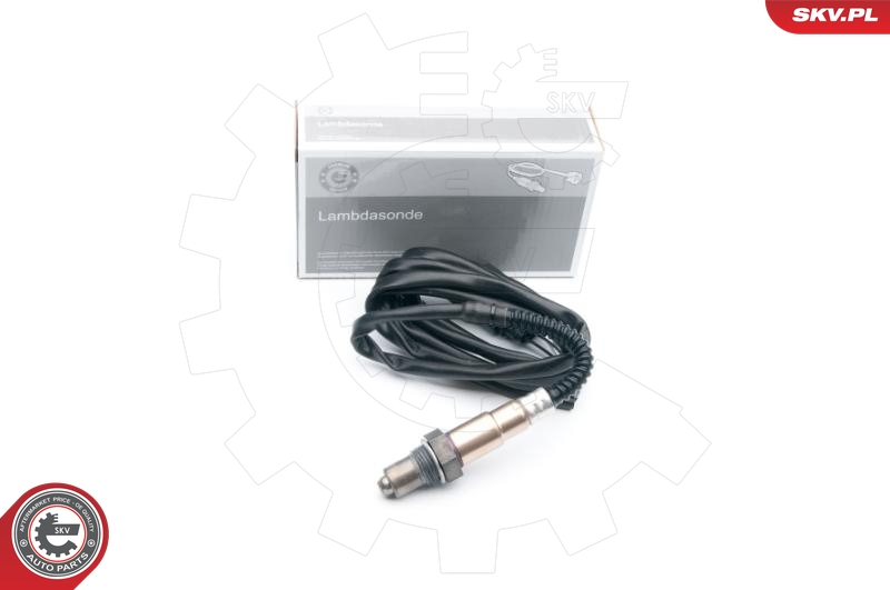 SKV 09SKV624