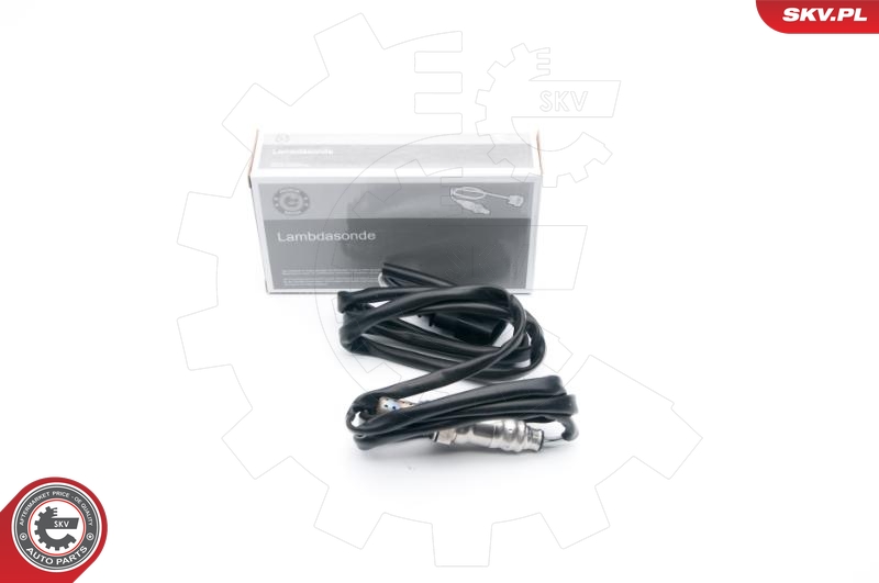 SKV 09SKV631
