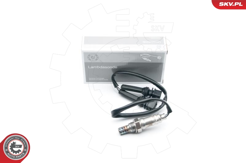 SKV 09SKV650
