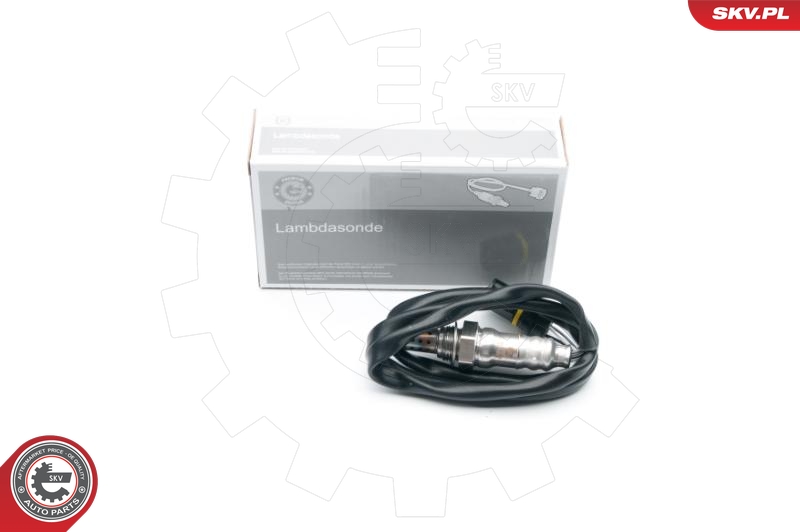 SKV 09SKV655