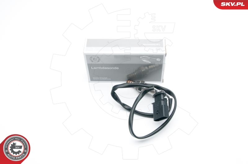 SKV 09SKV675