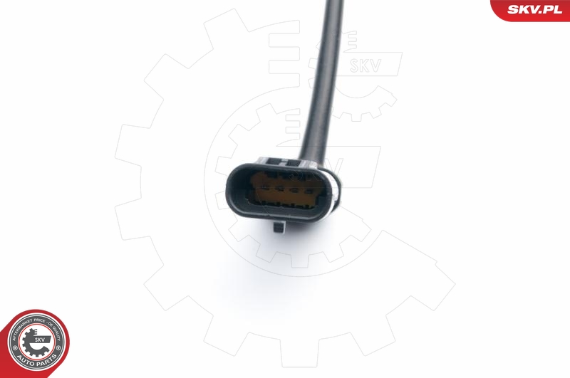 SKV 09SKV681
