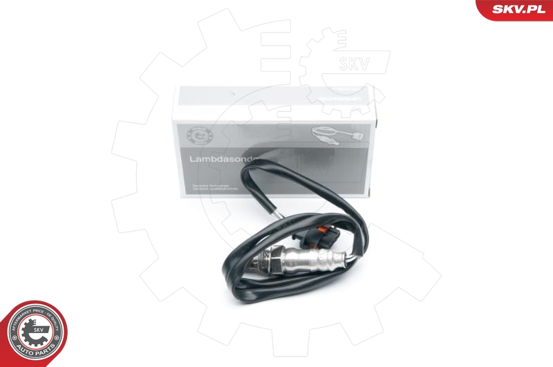 SKV 09SKV682