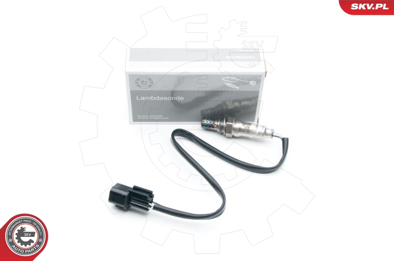 SKV 09SKV688