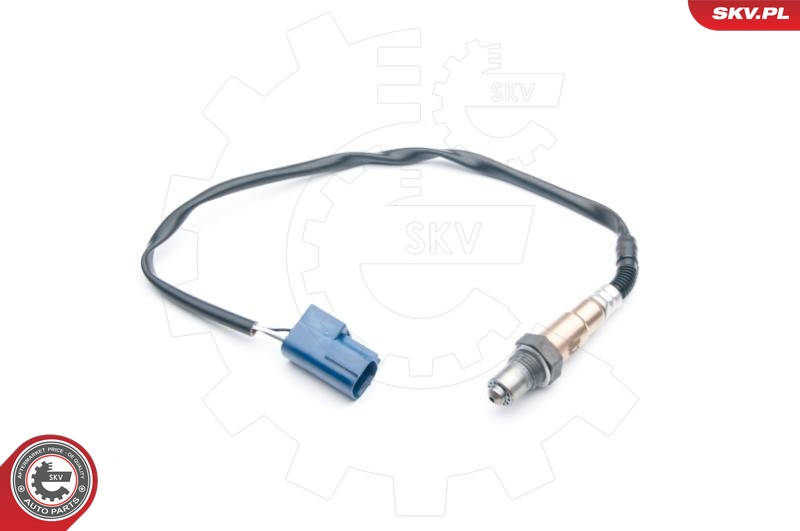 SKV 09SKV693
