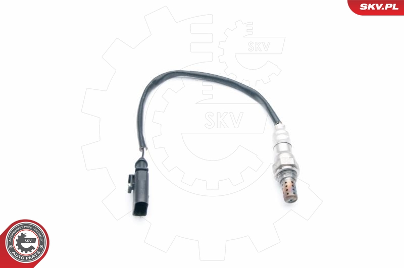 SKV 09SKV697