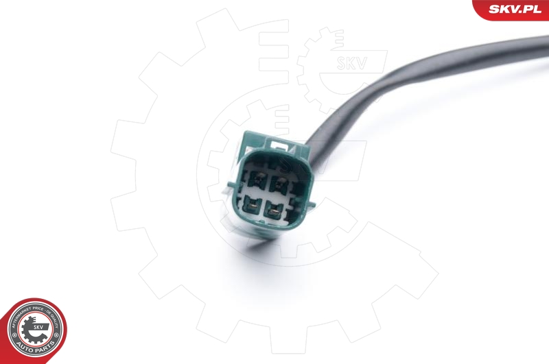 SKV 09SKV701