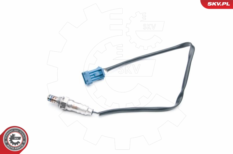 SKV 09SKV703