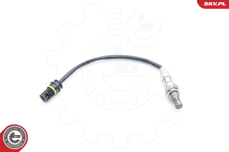 SKV 09SKV708