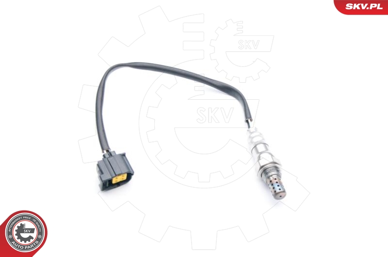 SKV 09SKV725