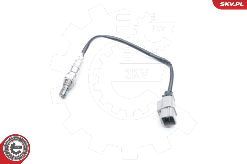 SKV 09SKV732