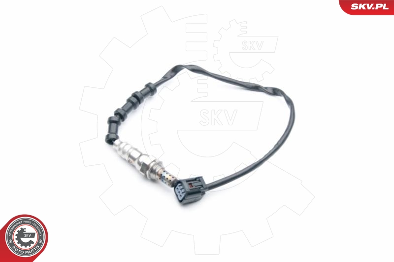 SKV 09SKV734