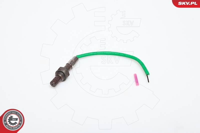 SKV 09SKV901