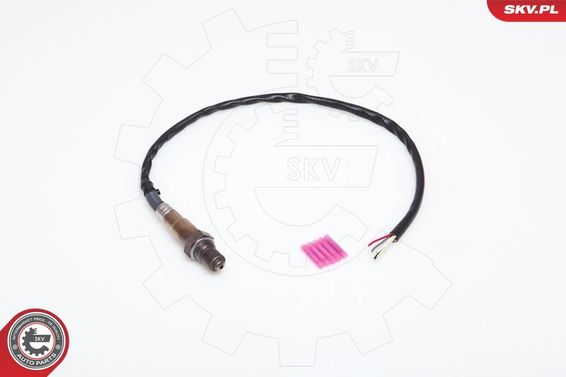 SKV 09SKV905