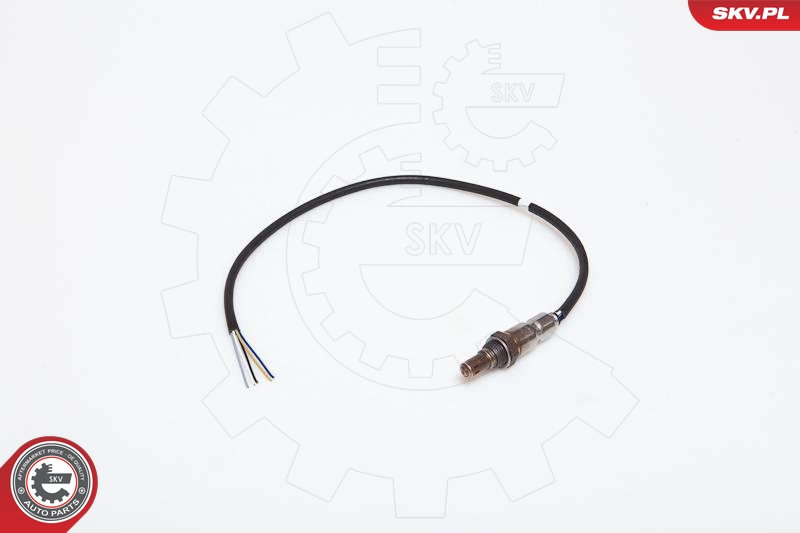SKV 09SKV906