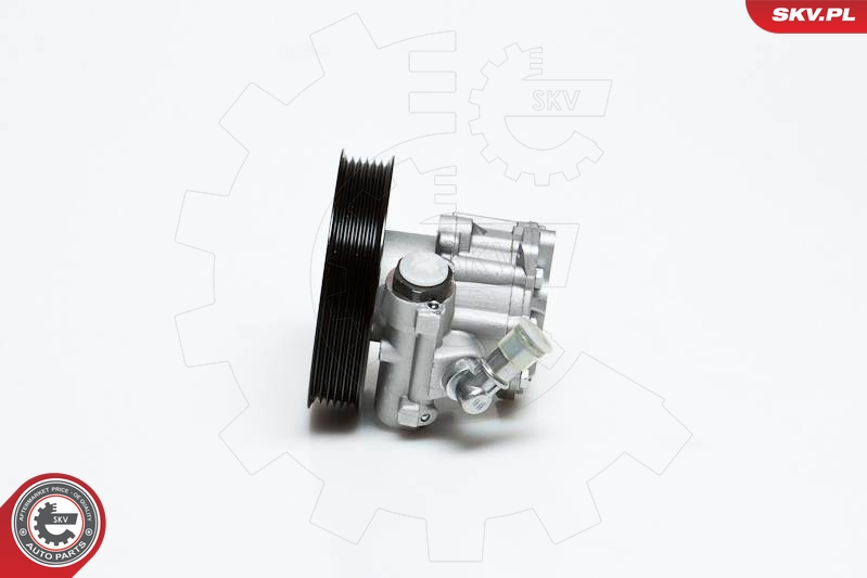 SKV 10SKV022