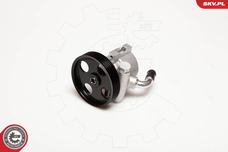 SKV 10SKV025