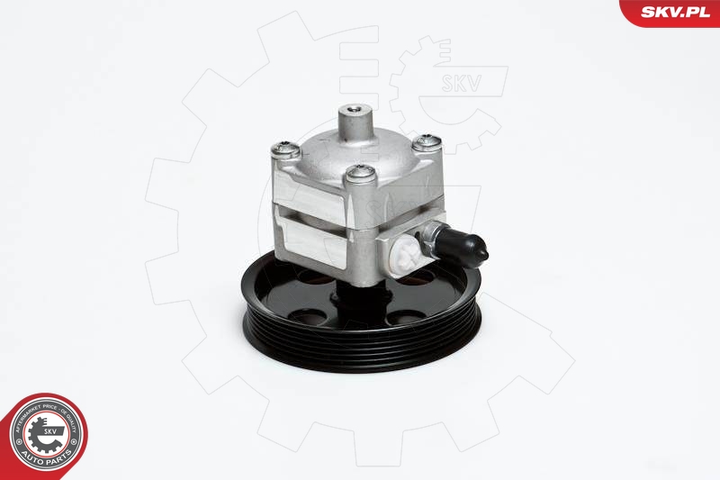 SKV 10SKV028