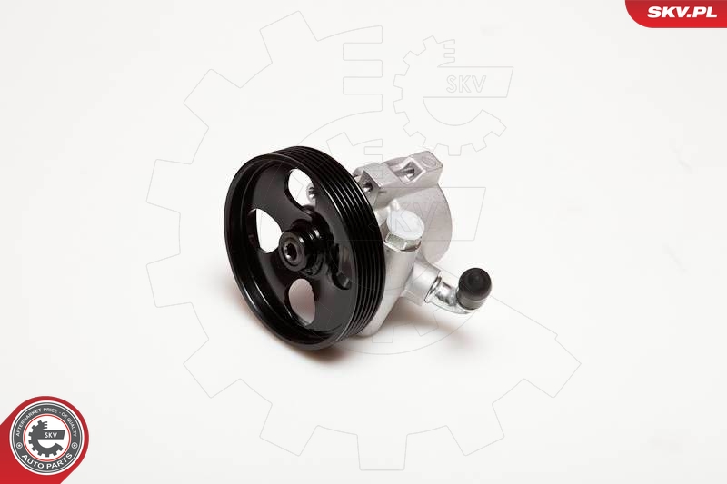 SKV 10SKV031
