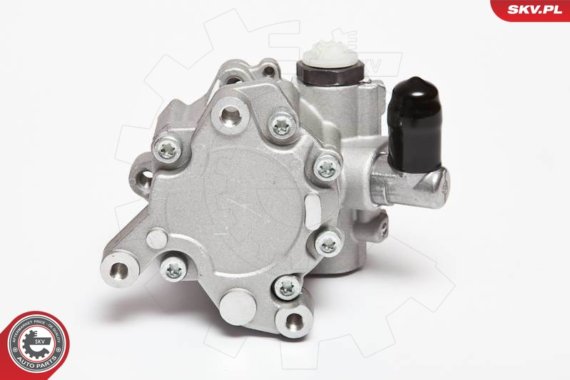 SKV 10SKV043