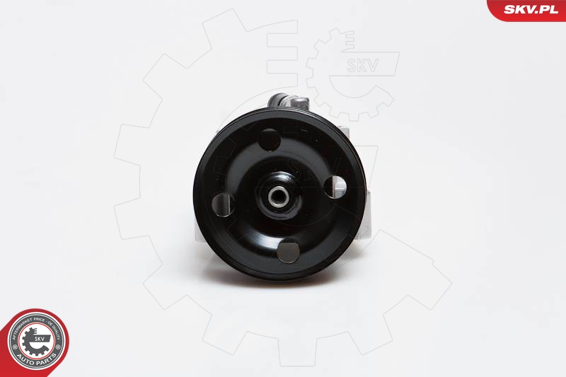 SKV 10SKV091