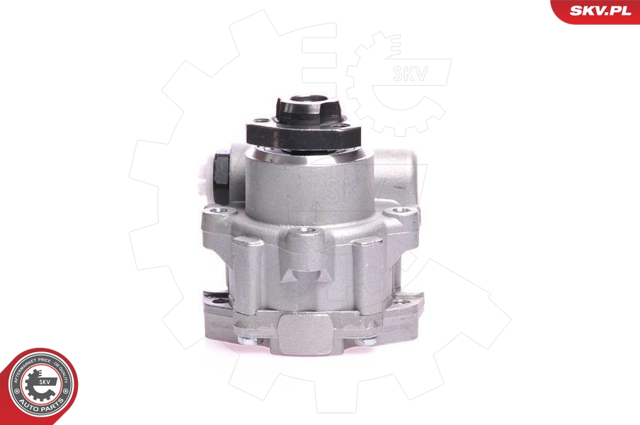 SKV 10SKV121