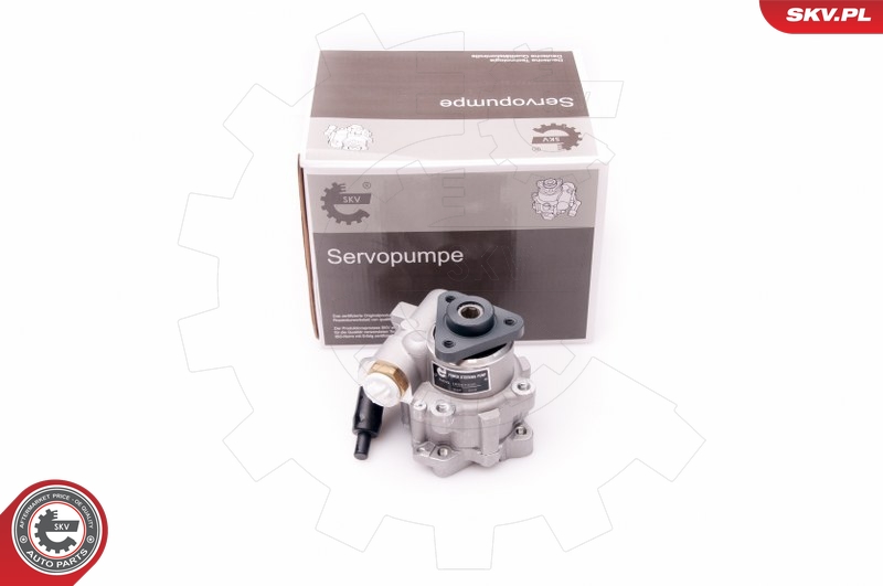 SKV 10SKV239