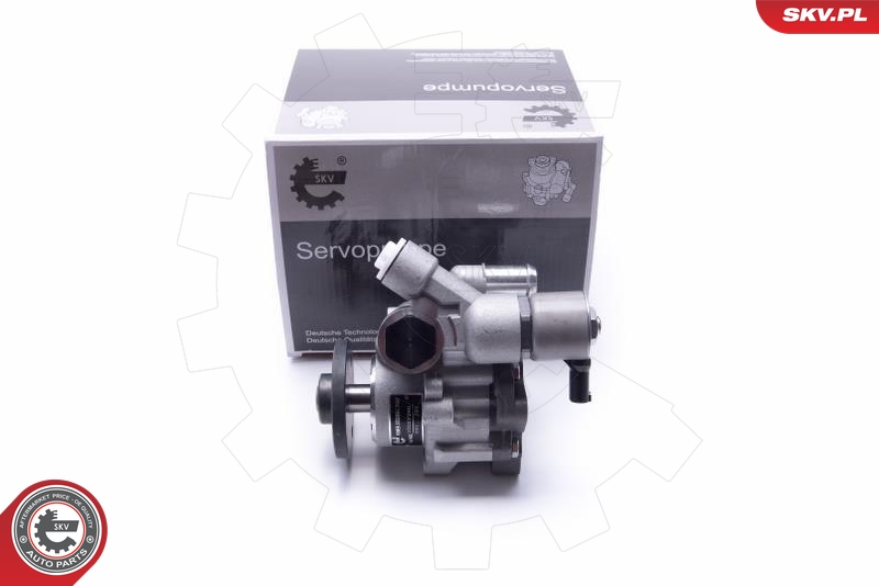 SKV 10SKV290