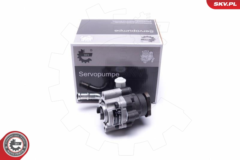 SKV 10SKV295