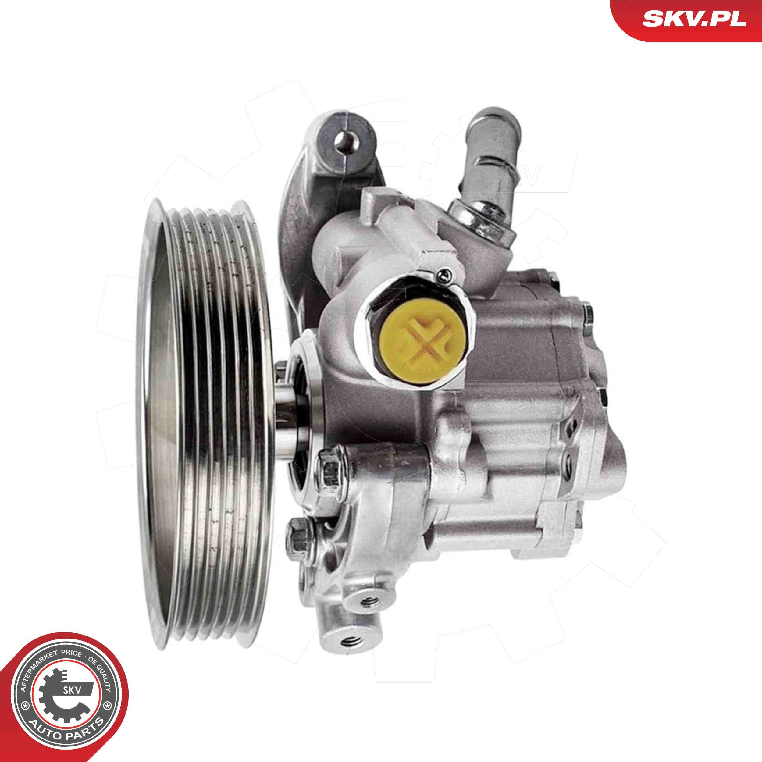 SKV 10SKV317