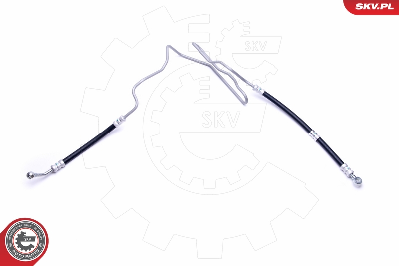 SKV 10SKV808