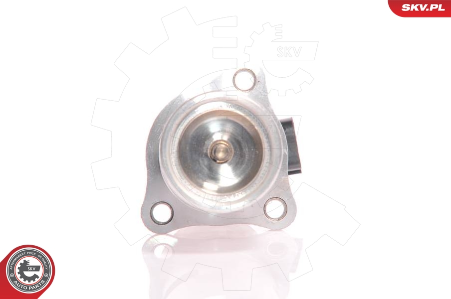 SKV 14SKV010