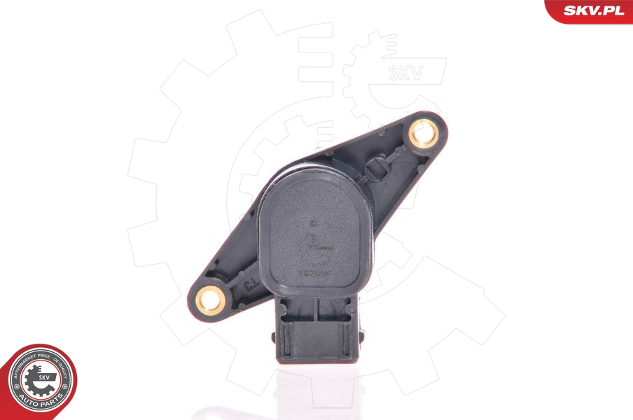 SKV 17SKV008