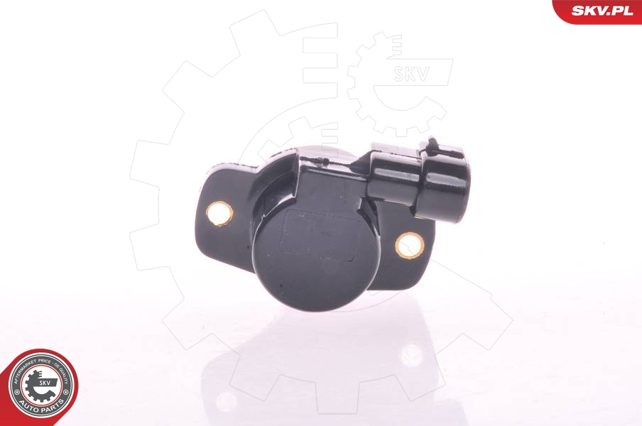 SKV 17SKV010