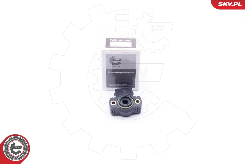 SKV 17SKV011