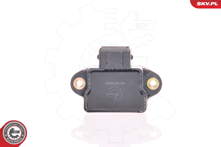SKV 17SKV012