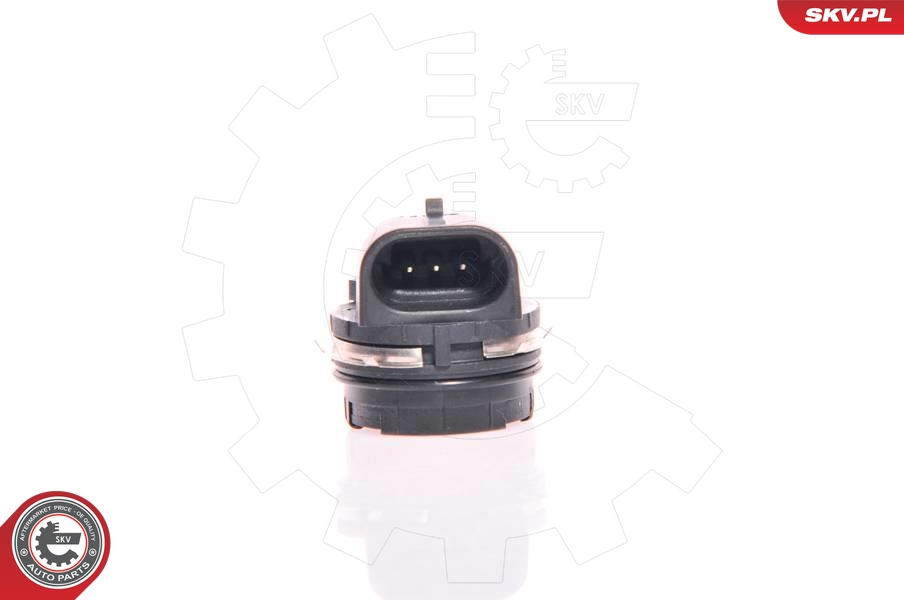 SKV 17SKV013