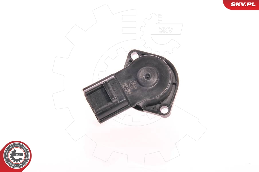 SKV 17SKV014