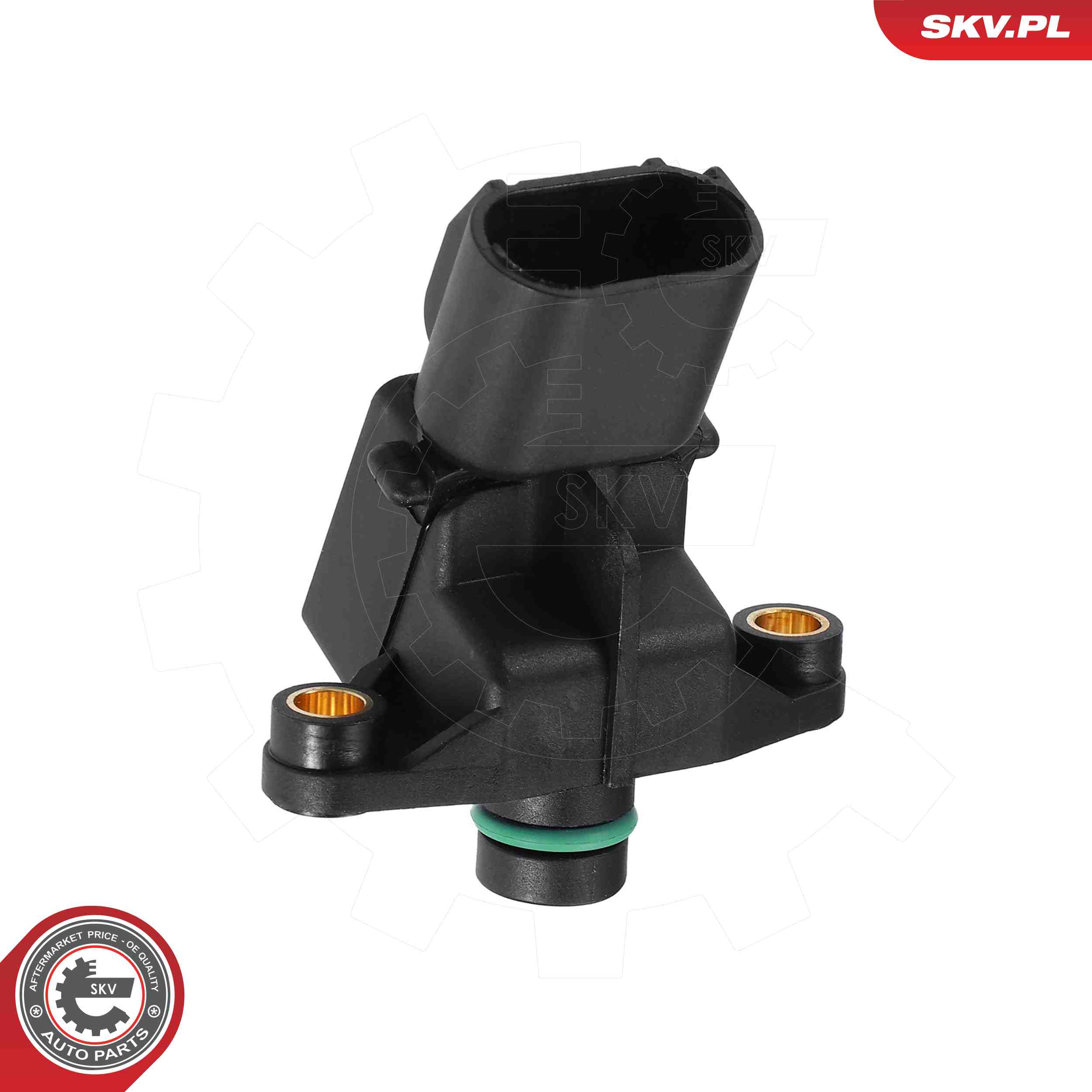 SKV 17SKV018