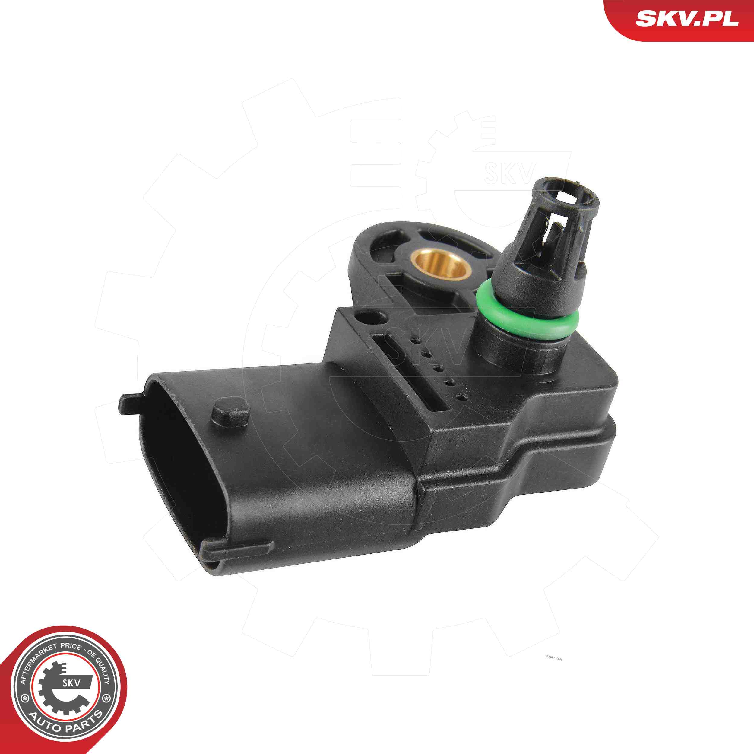 SKV 17SKV019