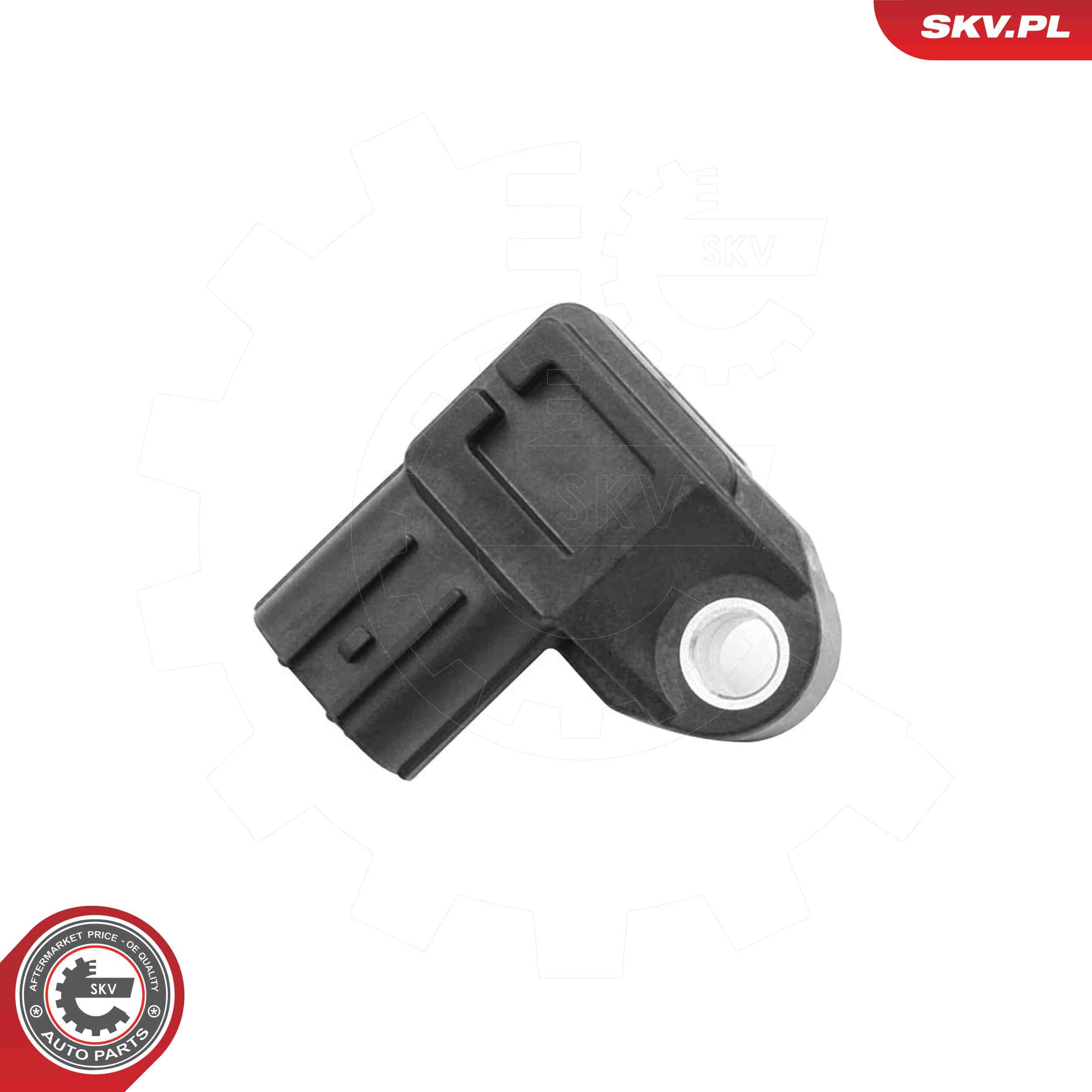 SKV 17SKV022